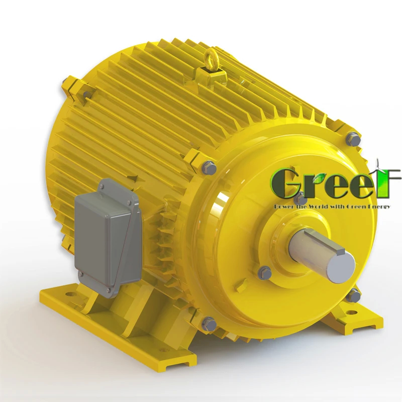 Generatore di energia elettrica a bassa velocità alternatore a magnete permanente a basse giri al minuto Frequenza nominale 50Hz/60Hz