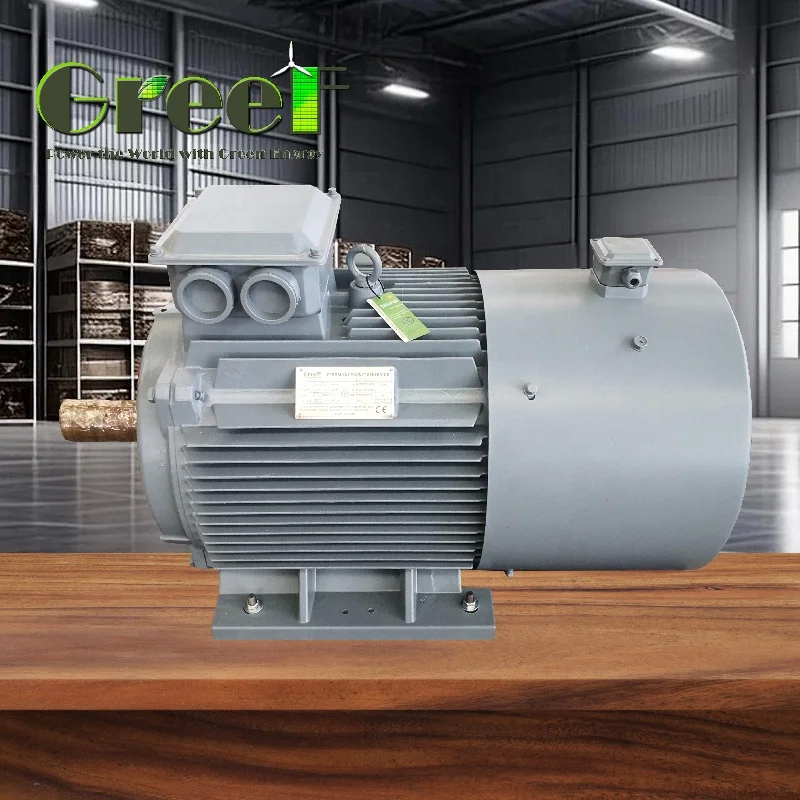 Potenza nominale del motore a magnete permanente a 3 fasi AC sincrono 750W-5MW per applicazioni motrici