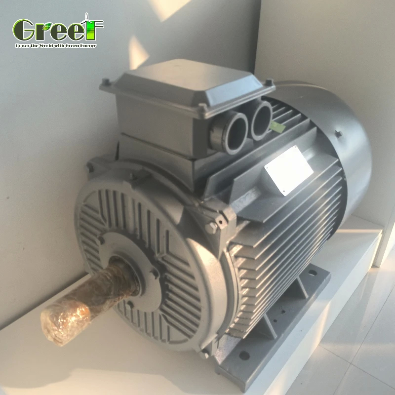 Motore elettrico a magneti permanenti IP54, generatore con magneti al neodimio per prestazioni costanti