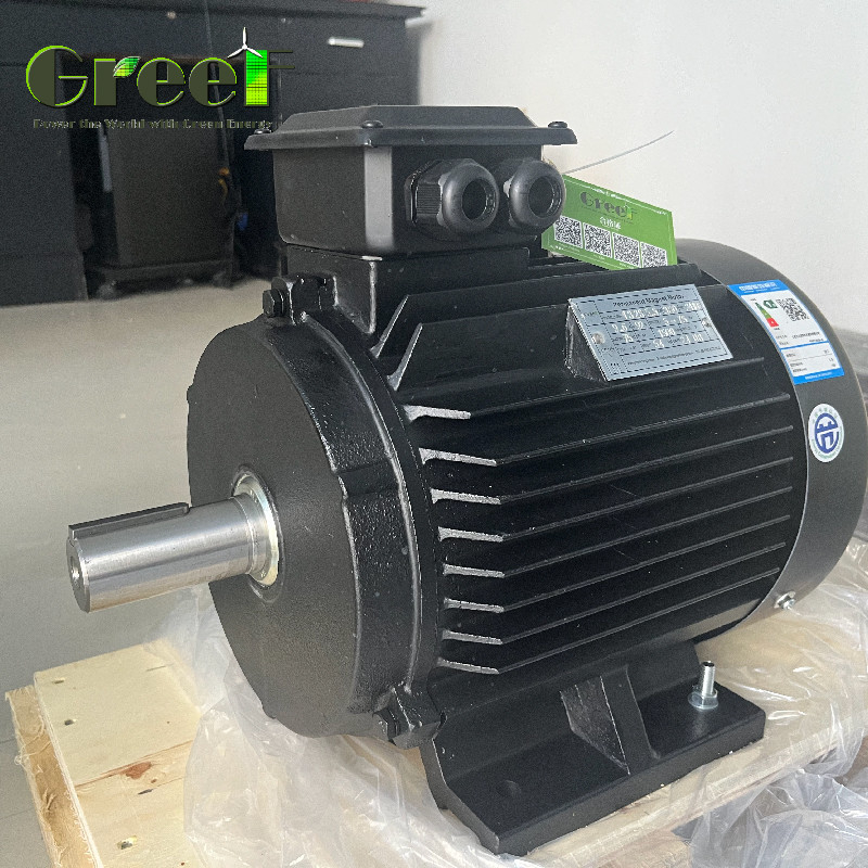 Motore elettrico a magnete di neodimio a coppia IP54 con 6 poli 750w-5Mw