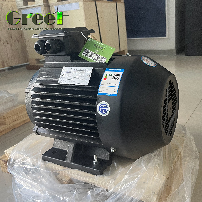 Motore elettrico a magnete permanente a coppia di 220V 750W-5MW con azionamento a frequenza variabile
