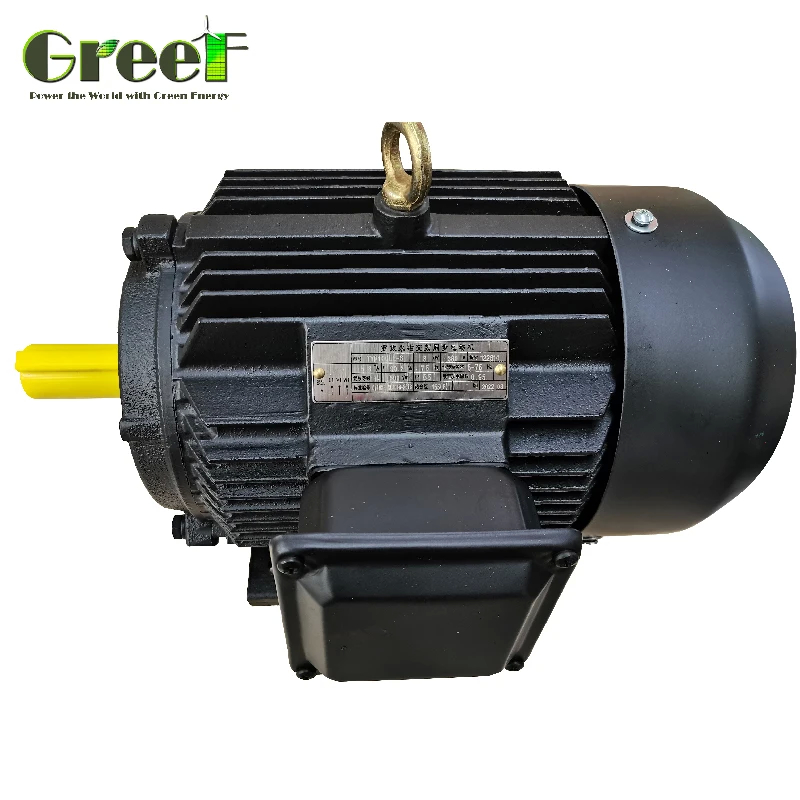 Motore sincrono alternativo a 3 fasi a magnete permanente a 50 Hz con potenza nominale 750W-5MW