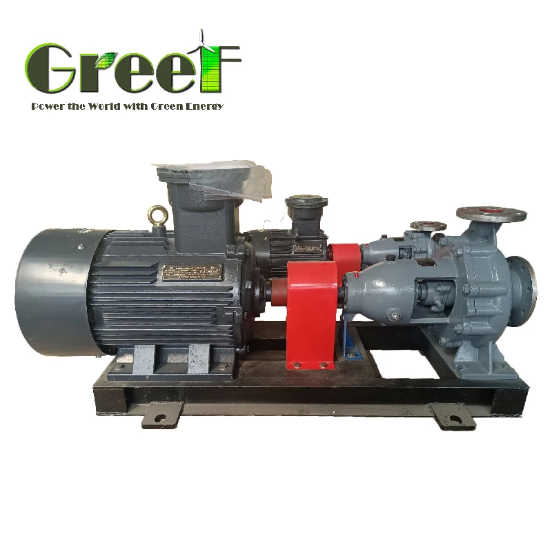 IP54 Alternatore a magnete permanente con cuscinetti SKF per installazione orizzontale