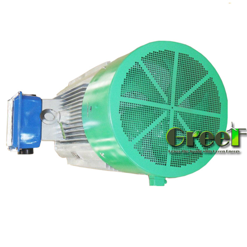 Classe di isolamento F/H Generatore di magneti permanenti Velocità nominale del rotore di 20-3000 giri al minuto 220V 690V Voltaggio