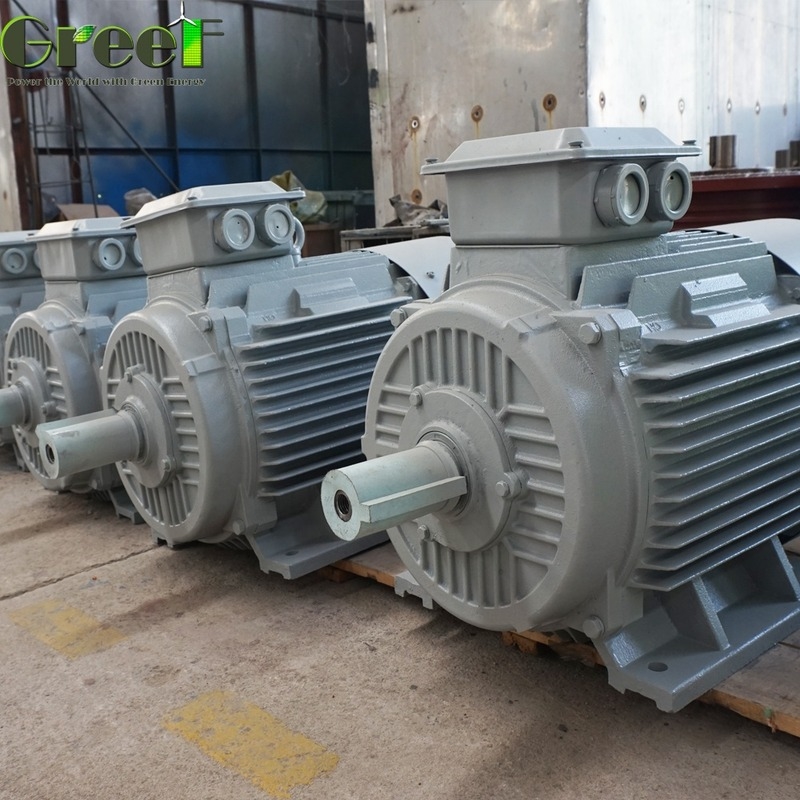 Generatore a magneti permanenti da 10kW personalizzato, tensione nominale 20rpm-3000rpm, rotazione nominale, uso domestico per turbina eolica e idraulica