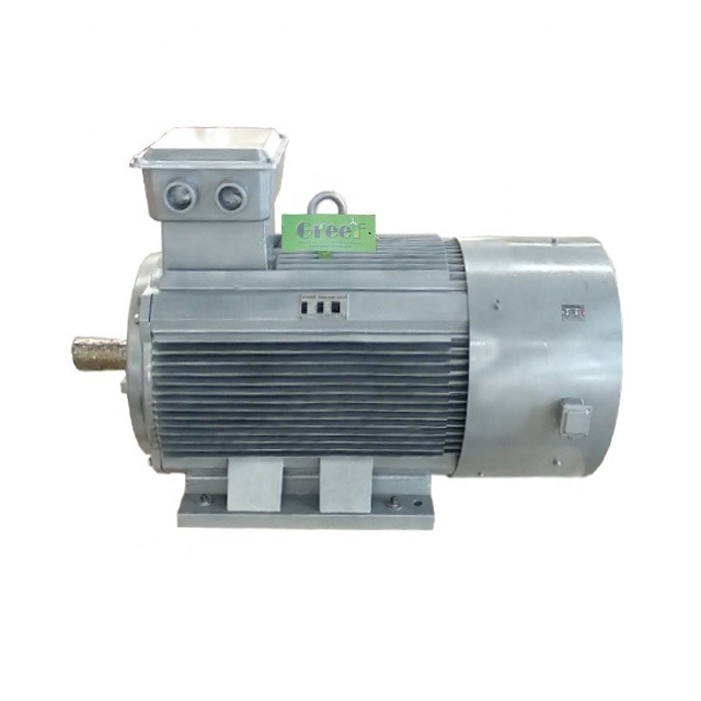 Generatore a magneti permanenti da 10kW personalizzato, tensione nominale 20rpm-3000rpm, rotazione nominale, uso domestico per turbina eolica e idraulica