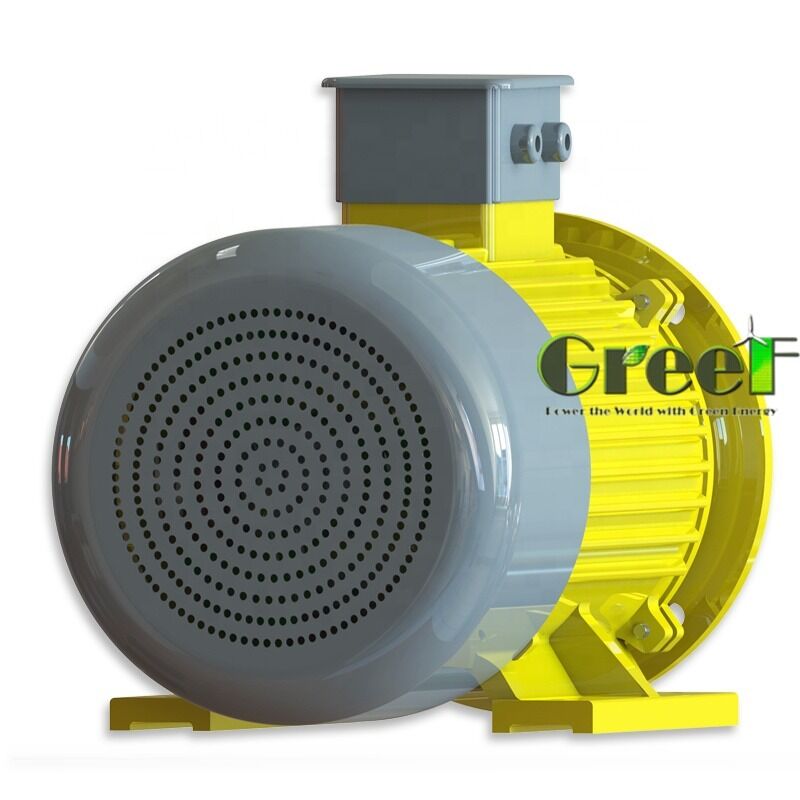 Motore a magnete permanente a frequenza di 50 Hz e 60 Hz con resistenza isolante di 100 Mohm Min 500 Vdc e 6 poli per sistemi industriali