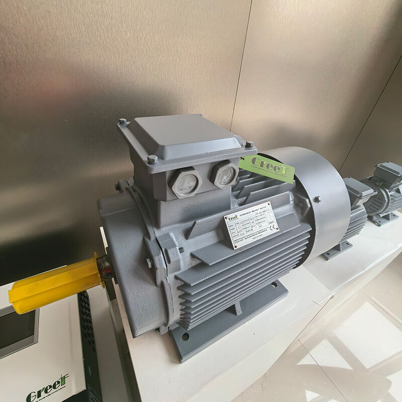 Motore a magneti permanenti con flangia di montaggio, grado di protezione IP54, con 0-3000 RPM per applicazioni industriali