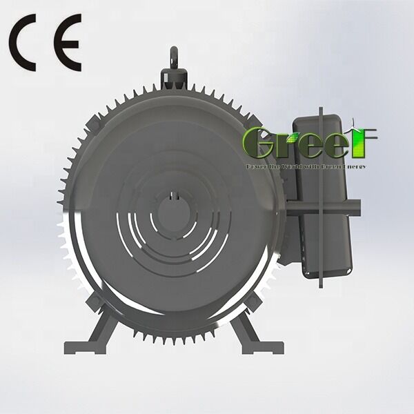 Motore a magnete permanente senza spazzole SKF incorporando tipo di magnete NdFeB Ideale per la robotica delle energie rinnovabili e gli azionamenti industriali