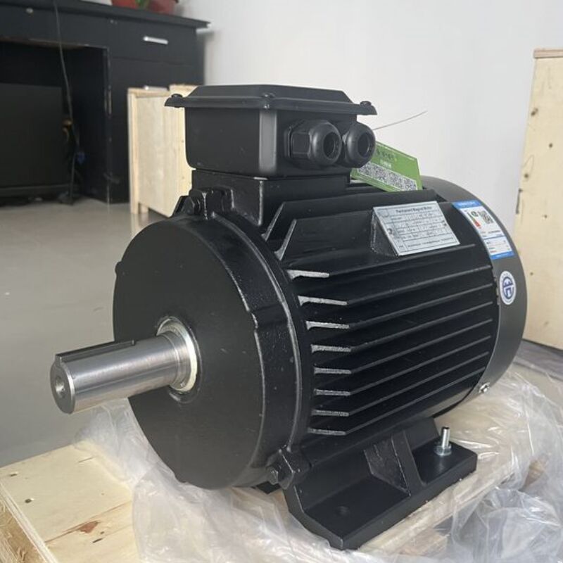 Motore a magnete permanente a cuscinetti SKF 750W-5MW Motore a corrente continua senza spazzole per automazione industriale