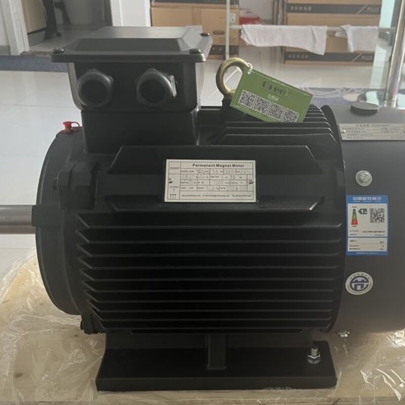 Tensione nominale motore a magnete permanente IP54 24 V 1140 V con magnete al neodimio adatto per sistemi di controllo e automazione di precisione