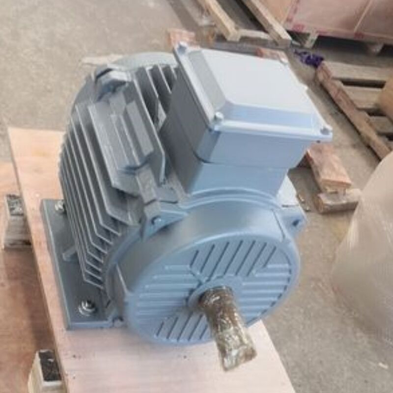 Motore a magnete permanente senza spazzole 24V-1140V, con classificazione IP54, ottimizzato per soluzioni di automazione e energia