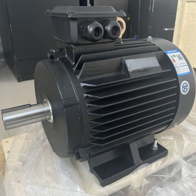 Personalizzazione Numero di poli Voltaggio nominale del motore magnetico 24V 1140V Compatibile con una vasta gamma di apparecchiature industriali
