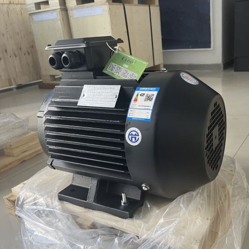 Motore a magnete permanente alimentato a energia elettrica con una gamma di velocità da 20 a 3000 giri al minuto e materiale magnetico NdFeB a ferro di neodimio e boro per prestazioni