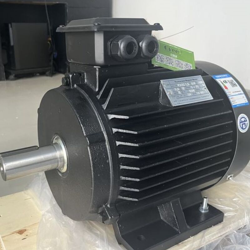Personalizzazione del motore a magnete permanente da 500 W a 5.000 kW Gamma di velocità di tensione da 20 a 3.000 giri/min Ideale per applicazioni industriali