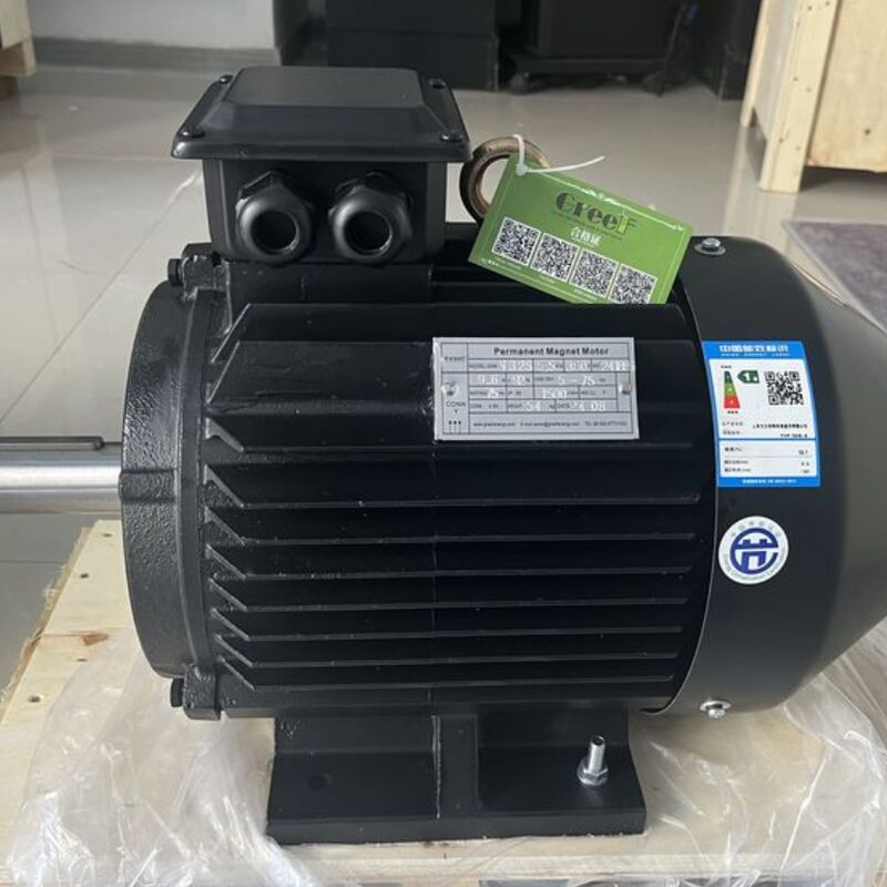 Efficienza superiore al 95% Potenza nominale del motore magnetico 750w 5Mw Progettato per prestazioni nella produzione e nella lavorazione
