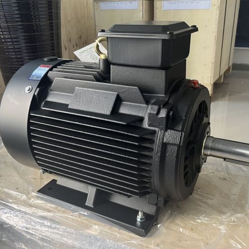 Motore a magnete permanente ad alta efficienza con resistenza isolante di 100Mohm Min, poli personalizzabili e cuscinetti SKF