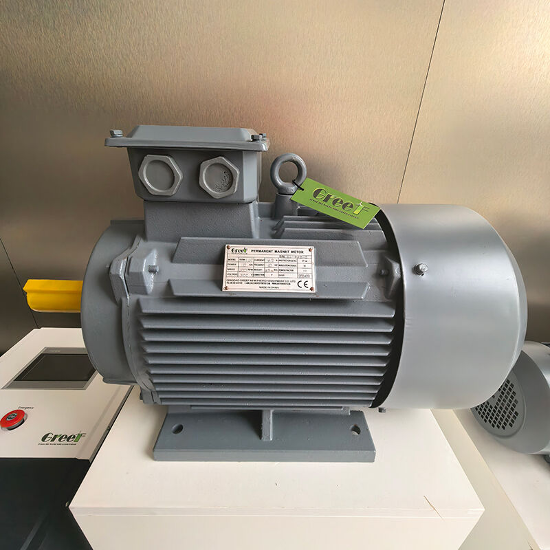 Generatore a magneti permanenti da 12 V CA a 1140 V CA con ventola di raffreddamento automatico ad acqua e classificazione IP54