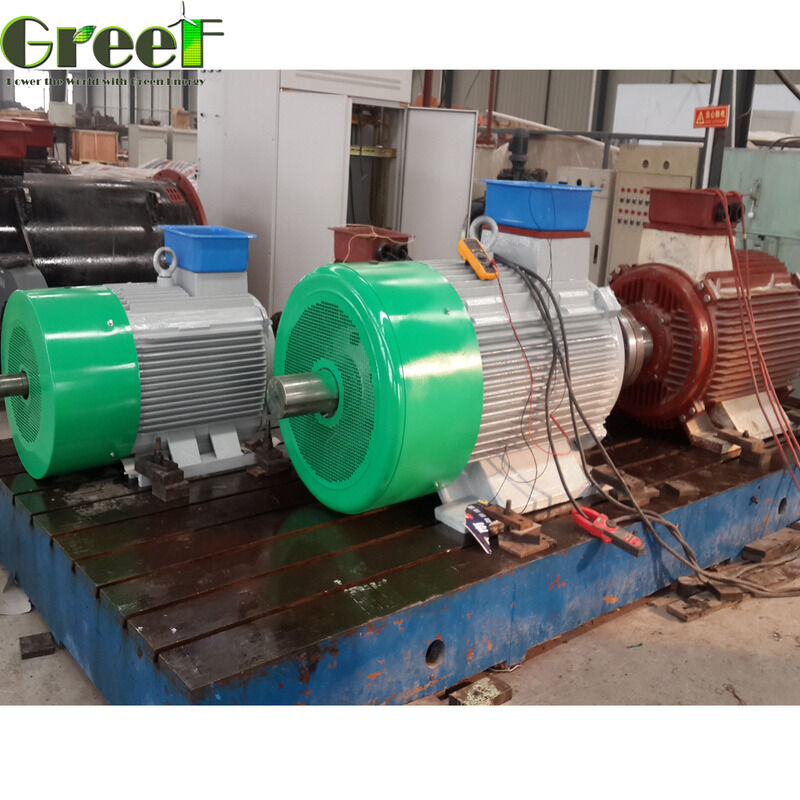 Efficienza superiore al 95% Potenza nominale del motore magnetico 750w 5Mw Progettato per prestazioni nella produzione e nella lavorazione