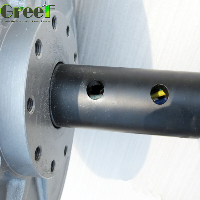 IP54 Motore a magnete permanente raffreddato ad acqua raffreddato ad aria Velocità da 750 a 3000 giri al minuto Progettato per applicazioni di attrezzature industriali