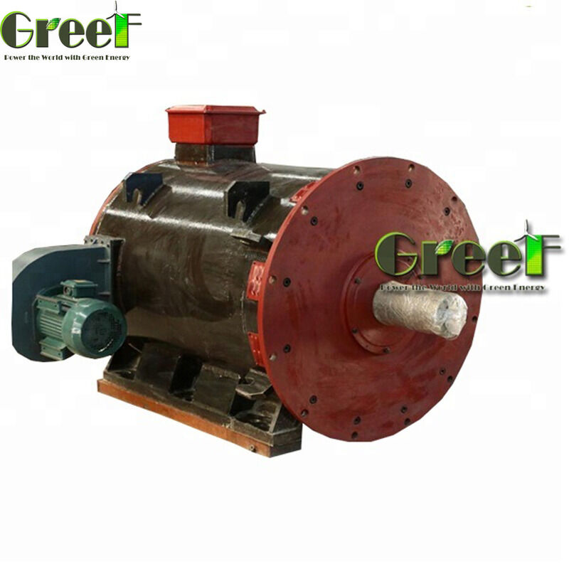 Motore a magnete permanente da 750W a 1000kW con resistenza isolante di 100Mohm Min e temperatura magnetica massima di 120°C