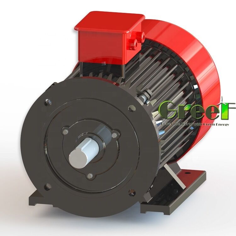 Motore a magnete permanente senza spazzole SKF con una gamma di velocità da 500 a 6000 giri al minuto e una temperatura magnetica massima di 120 gradi Celsius
