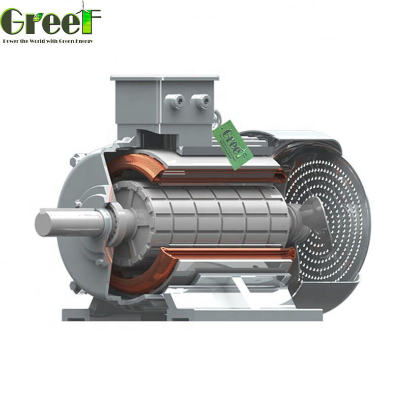 Motore elettrico trifase IP 54 gamma di potenza 500W 5000kw progettato per soddisfare gli standard industriali e garantire la funzionalità